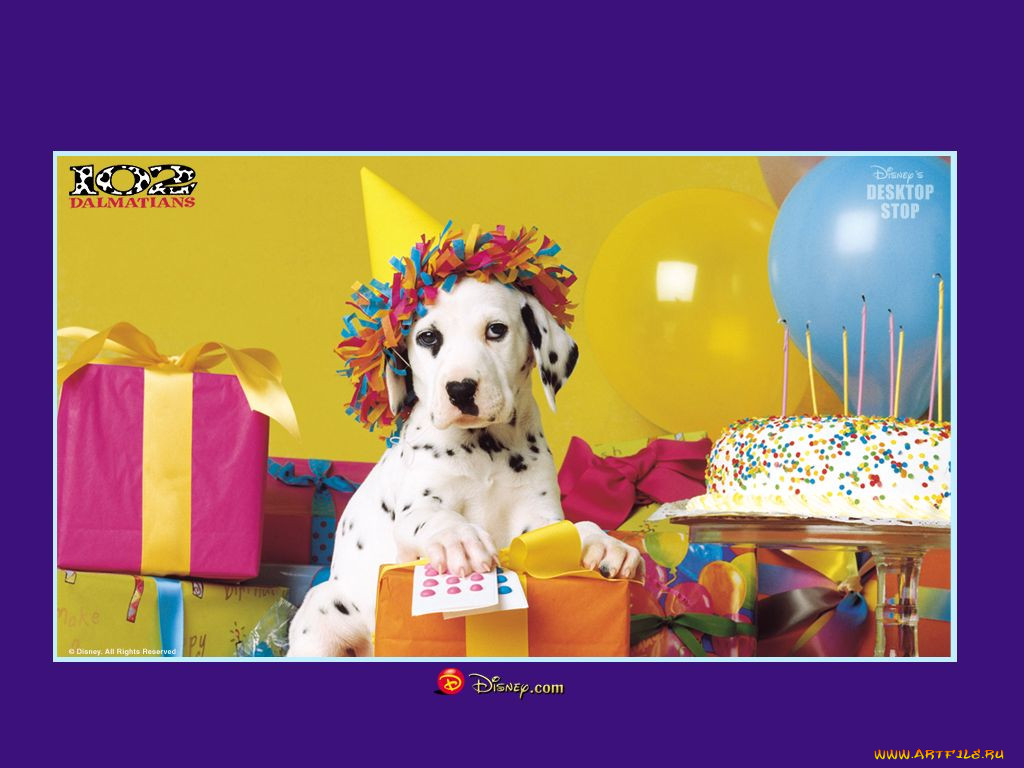 , 102, dalmatians